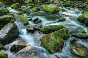 Rock Water – Eau de Roche : pour les personnes si exigeantes envers elles-mêmes qu’elles s’interdisent les plaisirs de la vie.